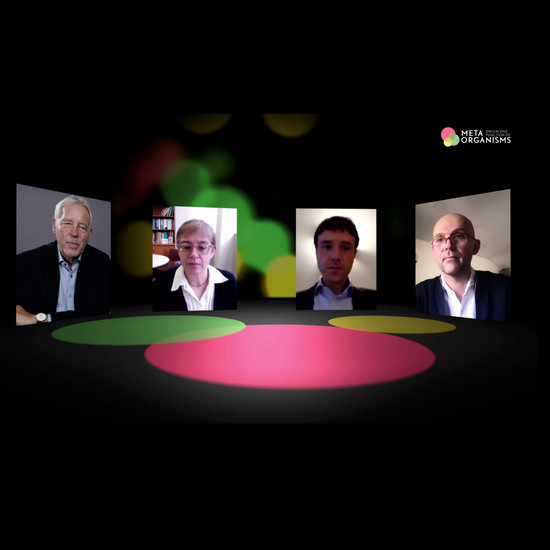 Vier Personen in einer Videokonferenz zu "Meta Organism".