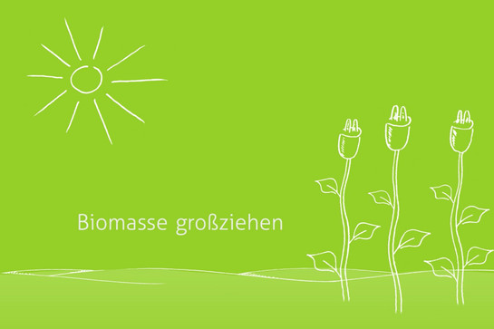 Weiße Sonne auf grünen Hintergrund