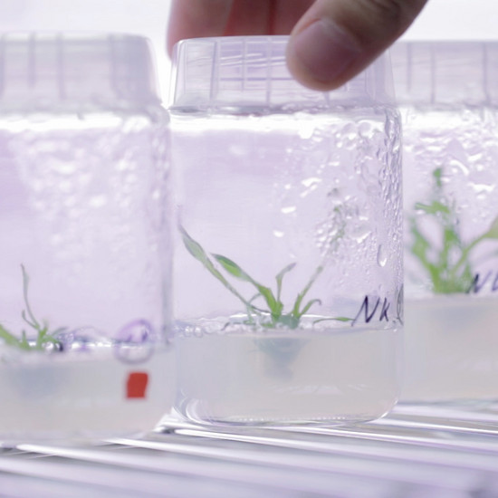 Wasserproben in der Wissenschaft