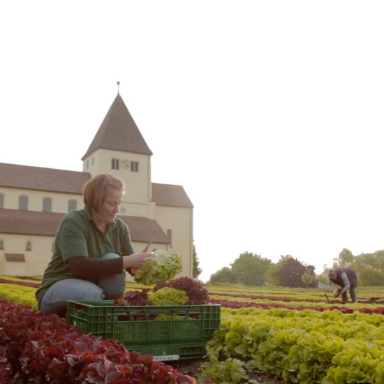 Zwei Frauen auf einem Gemüsefeld