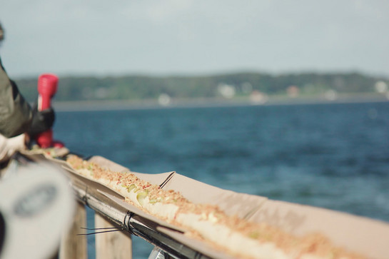 Der längste Hotdog steht auf einem Geländer an der Förde
