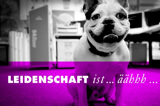 bb_druckhaus_teaser_04.jpg