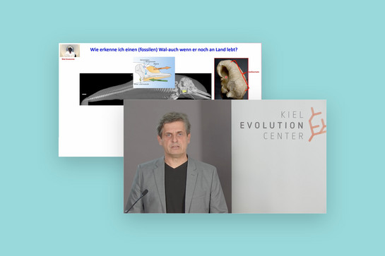 bb_cau_darwintag_teaser02.jpg Zwei Bilder zum Darwin Tag