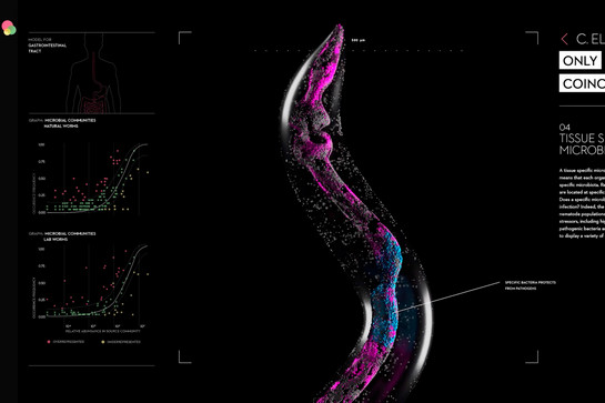 Eine Animation, die Grafiken und Illustrationen der Mikrobiologie zeigen. 