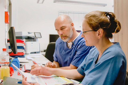 York guckt sich Krankenakten mit einer Krankenschwester an