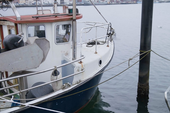 Ein weißes Boot liegt am Bootsteg