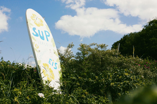 Ein Sup steht in einer Büschung