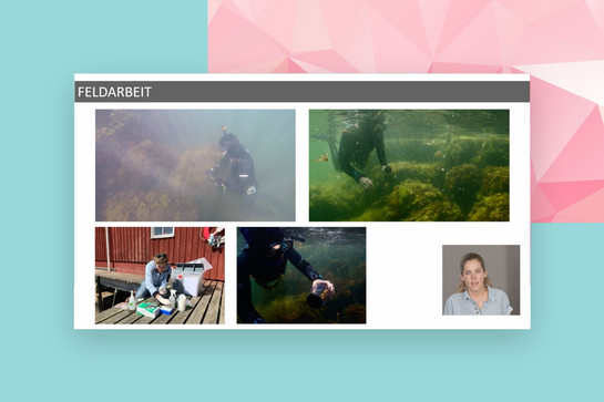 bb_cau_darwintag_teaser05.jpg Bildercollage der Feldarbeit von Biologen