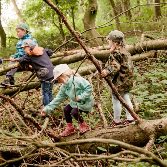 Kinder klettern auf Ästen
