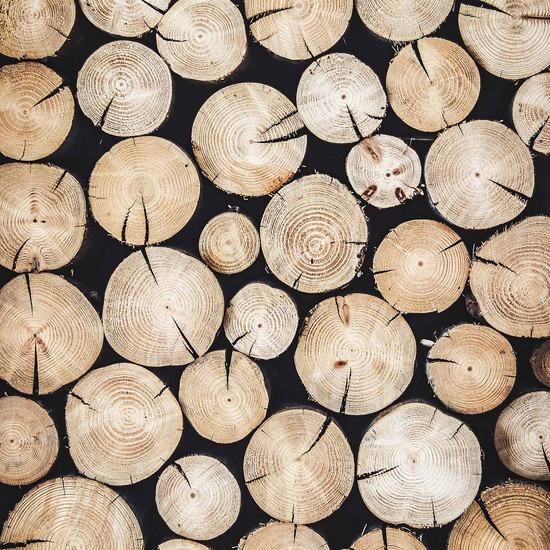 Gestapelte Baumstämme