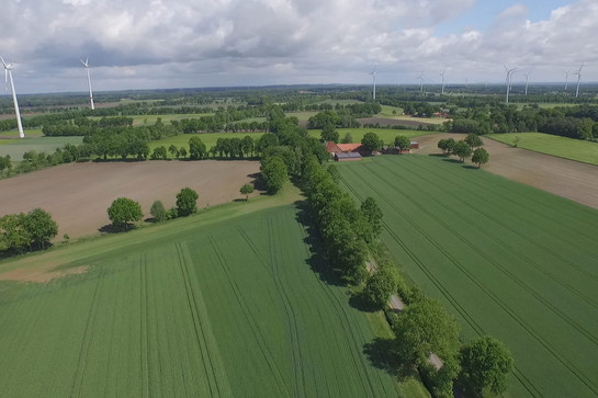 Luftbild einer grünen Landschaft