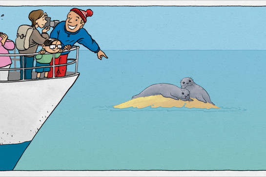 Ein gezeichnetes Bild von zwei Robben die auf einer Sandbank liegen