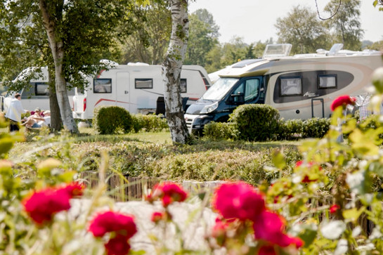 Blick auf einen Campingplatz mit Rosen