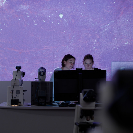 Zwei Wissenschaftlerinnen vor Mikrovergrößerung