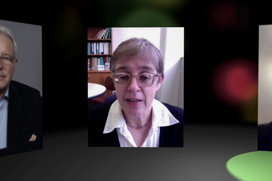 Eine Frau mit Brille, weißem Hemd und schwarzer Jacke ist auf einem Bildschirm eingeblendet, sie scheint per Videoschalte eingeschaltet zu sein. 