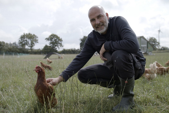 York streichelt ein Huhn