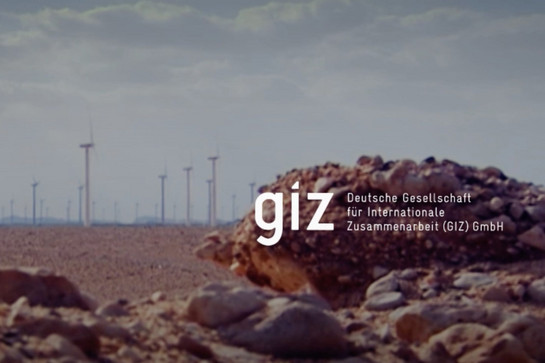 Ein Windpark im Hintergrund