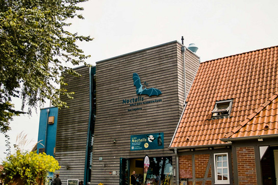 Gebäude des Noctalis Museums in Bad Segeberg
