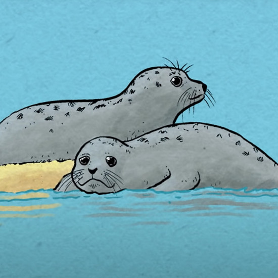 Illustration zweier kleiner Seehunde auf Sandbank