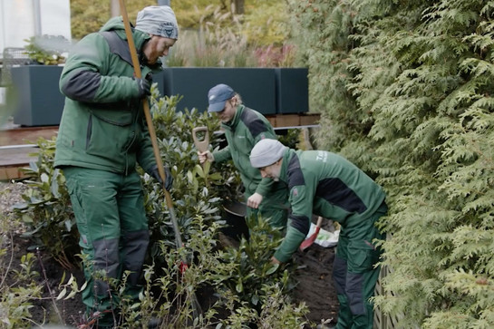 York hilft bei Gartenarbeit mit