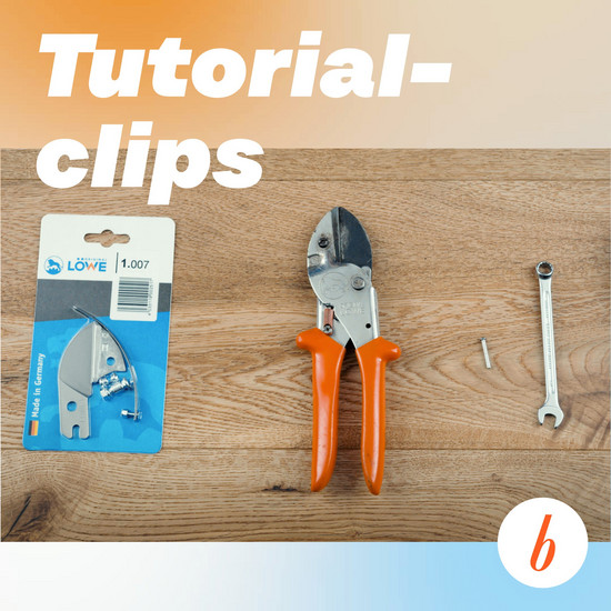 bb_teaser_website_loewen-scheren_tutorialclip.jpg