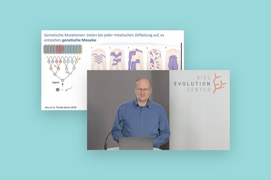 bb_cau_darwintag_teaser03.jpg Bildercollage zum Darwin Tag