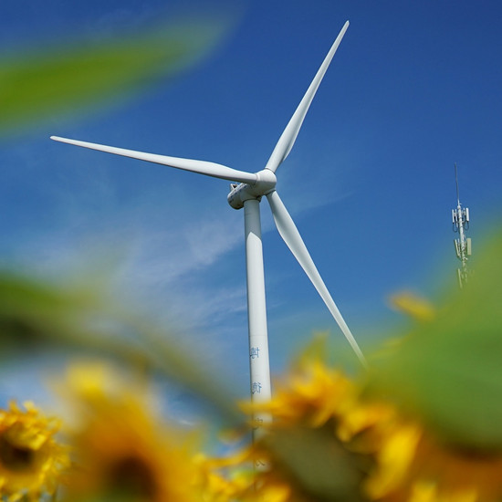 Blick auf ein weißes Windrad