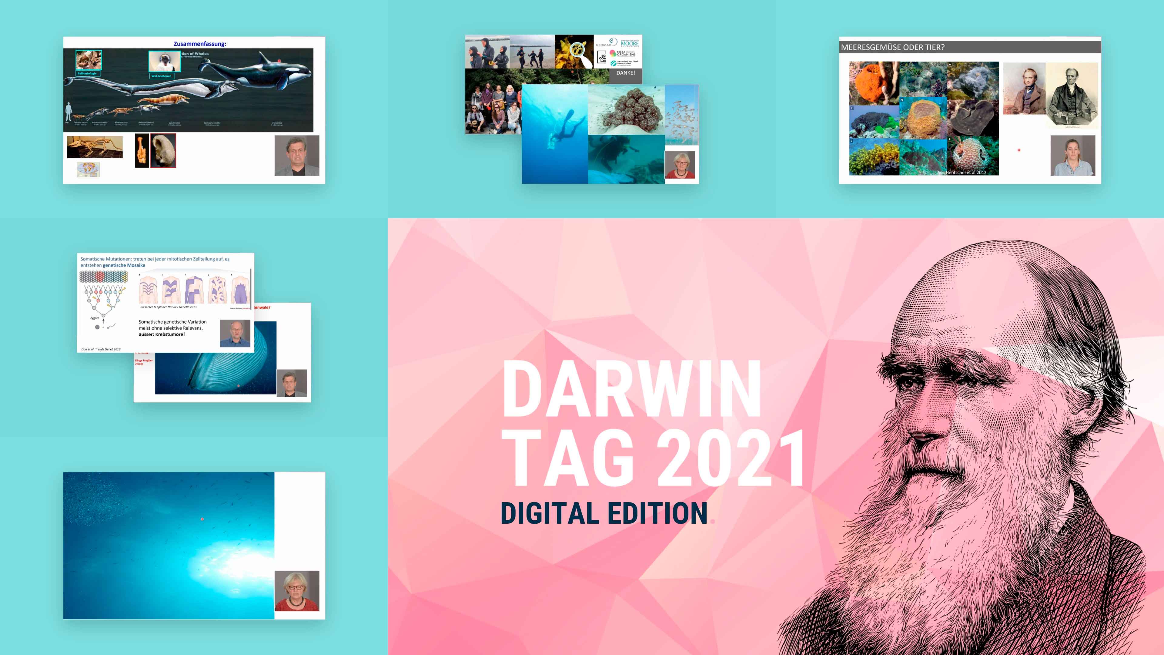 bb_cau_darwintag_video.jpg Bildercollage zum Darwin Tag