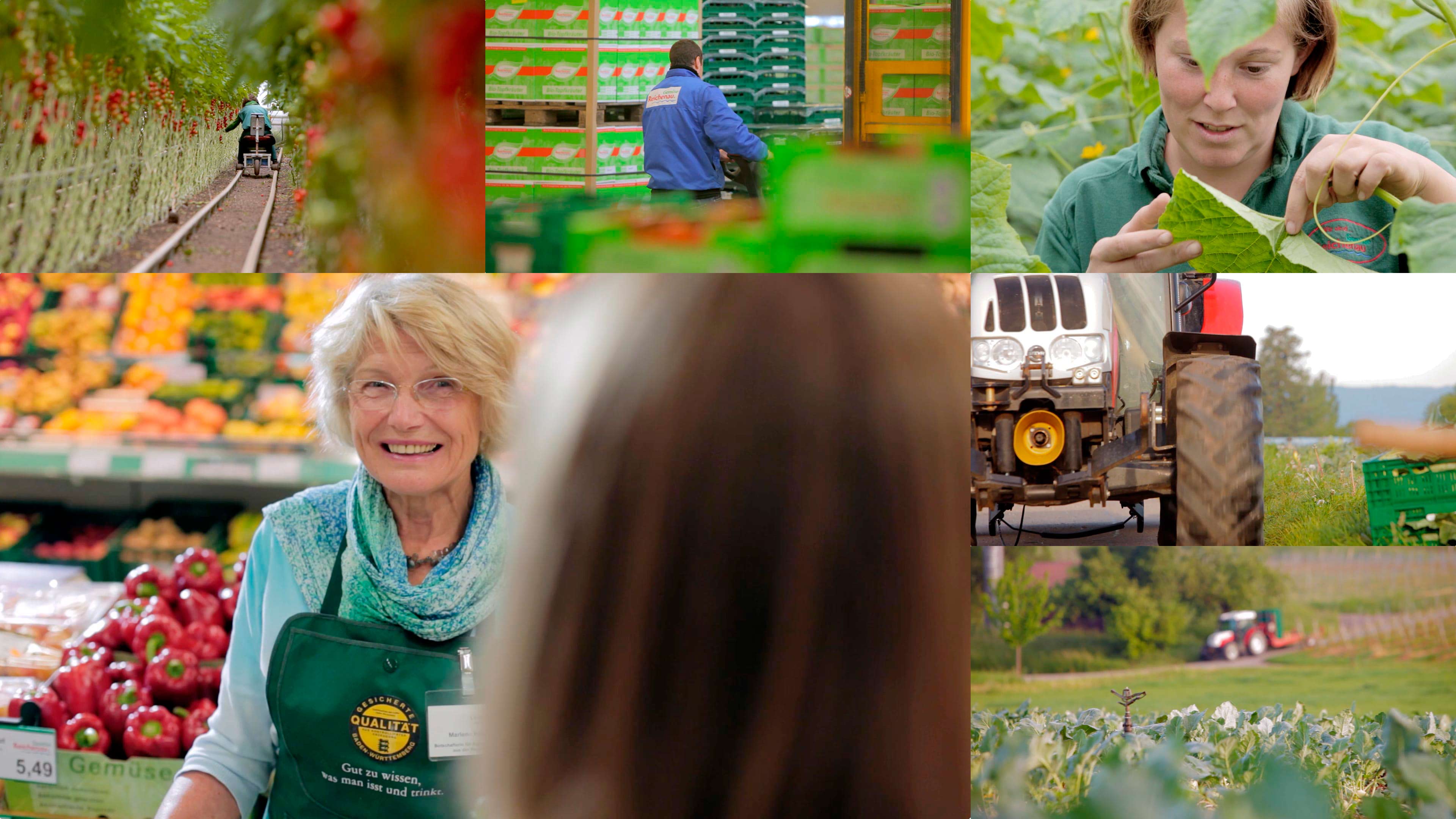 bb_gemueseinsel_vorschau.jpg Bildercollage der Tomateninsel