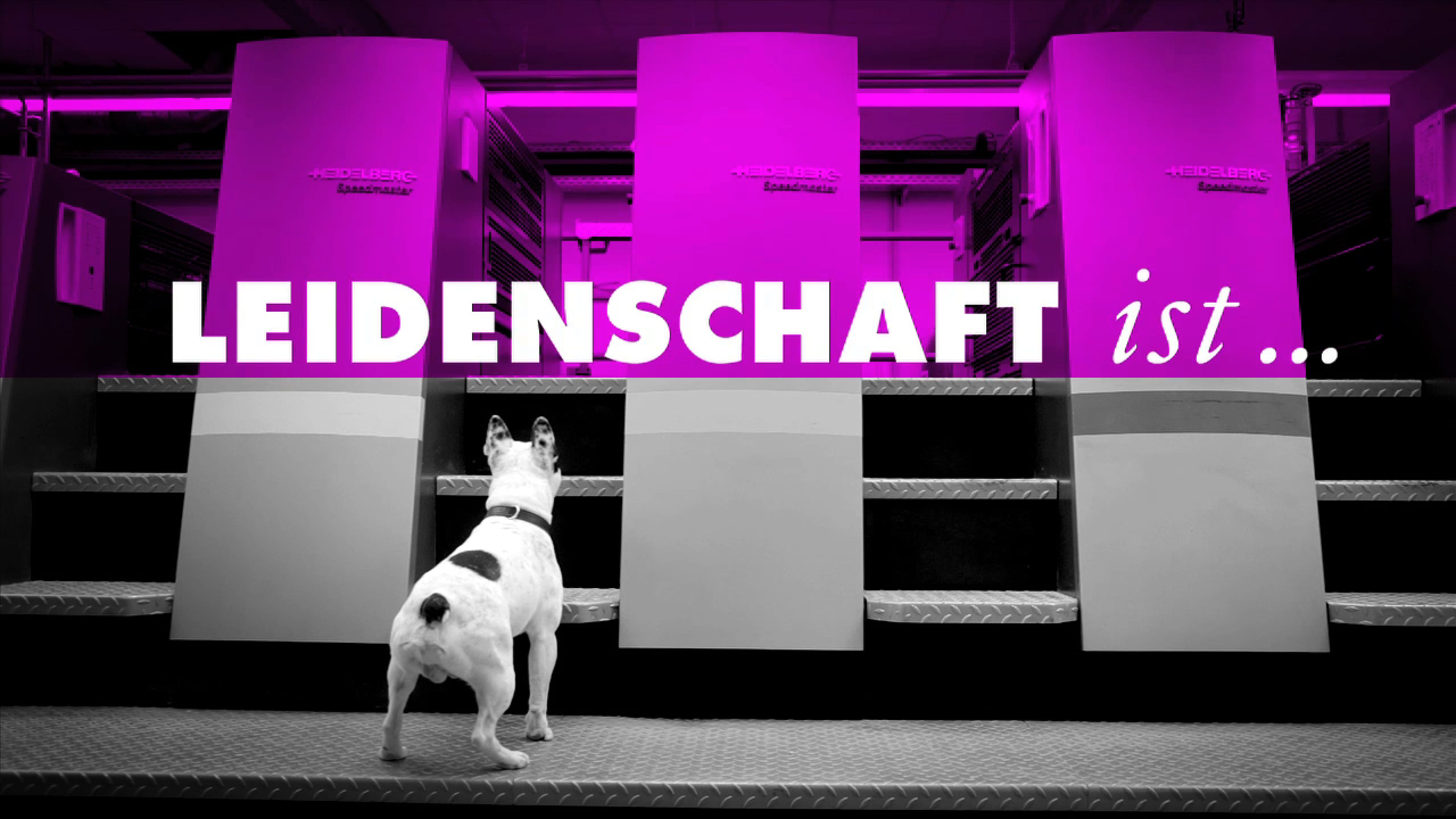 Ein Hund steht vor Druckermaschinen
