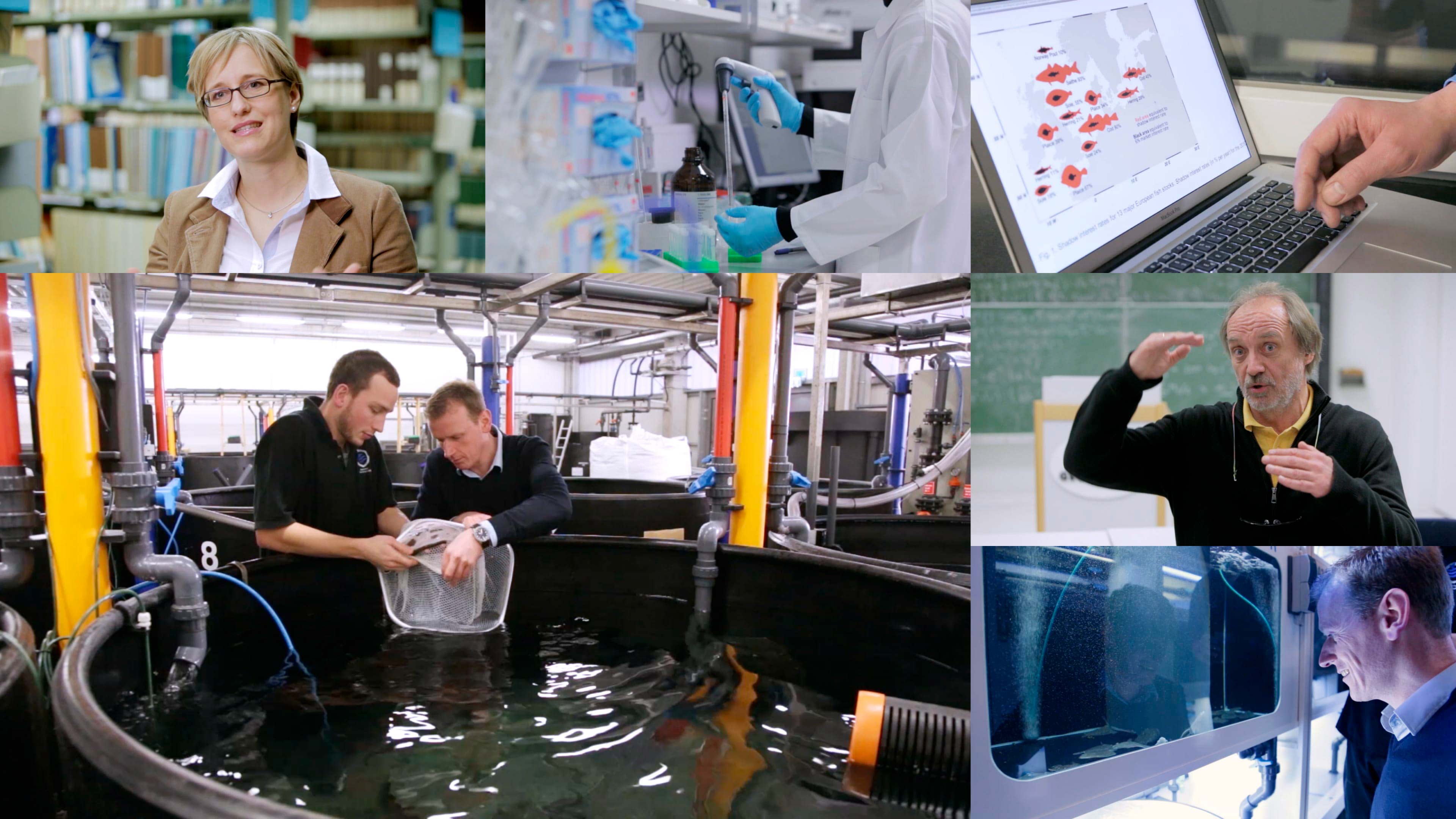 bb_kielfisch_vorschau.jpg Bildercollage der Kieler Fischereiforschung