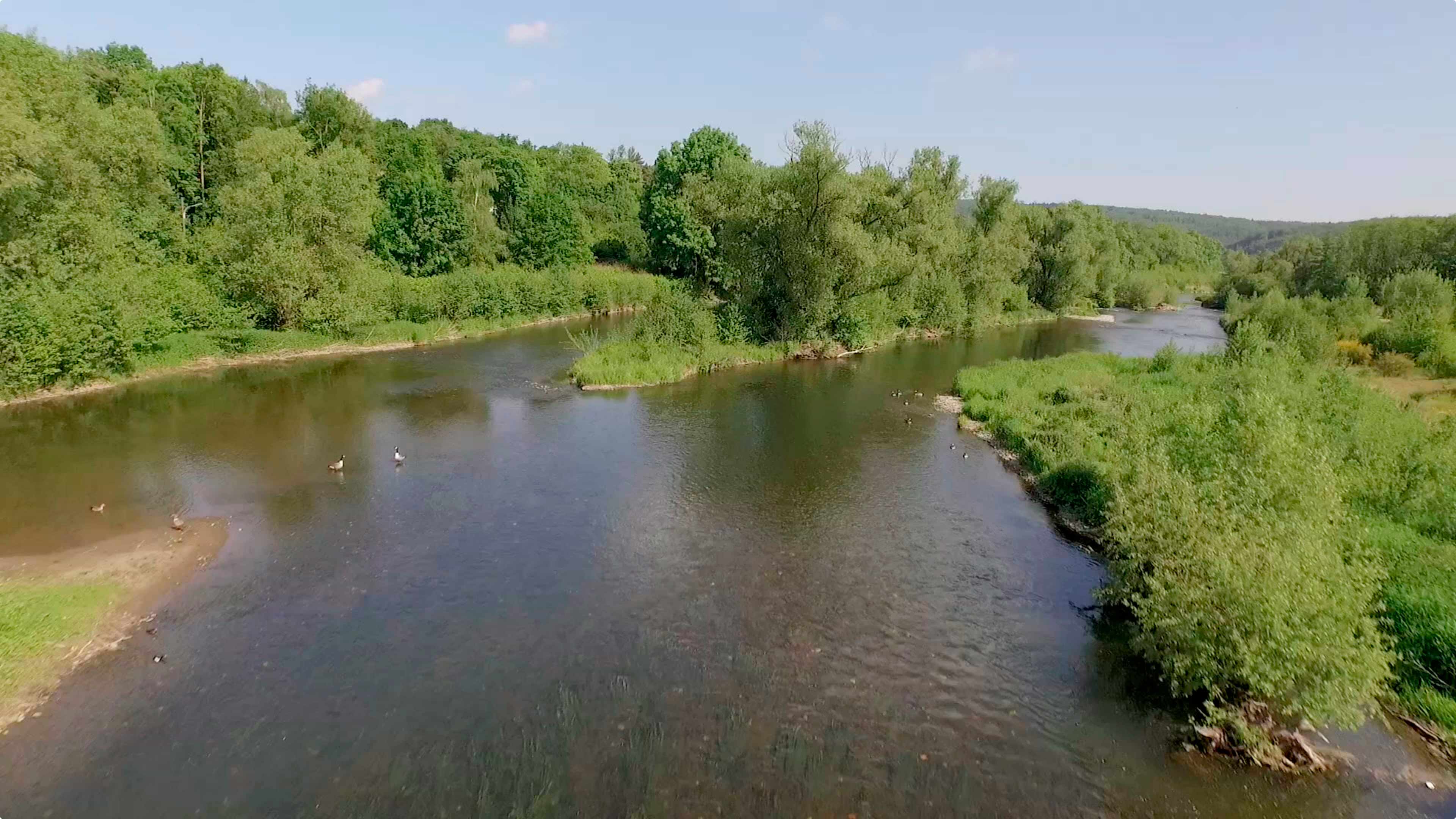 Blick auf einen Fluss mit Enten