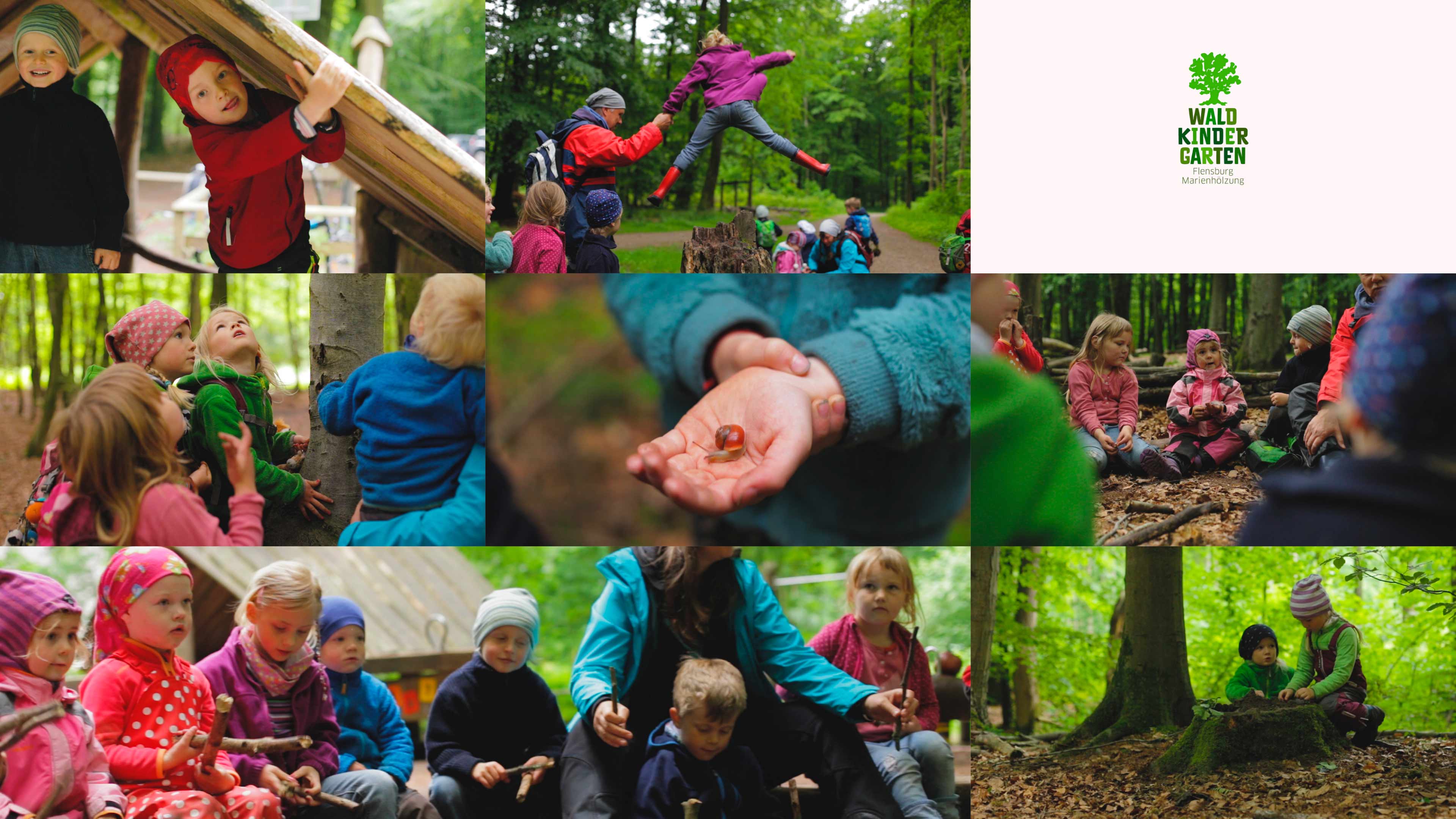 bb_waldsinne_vorschau.jpg Bildercollage des Waldkindergarten