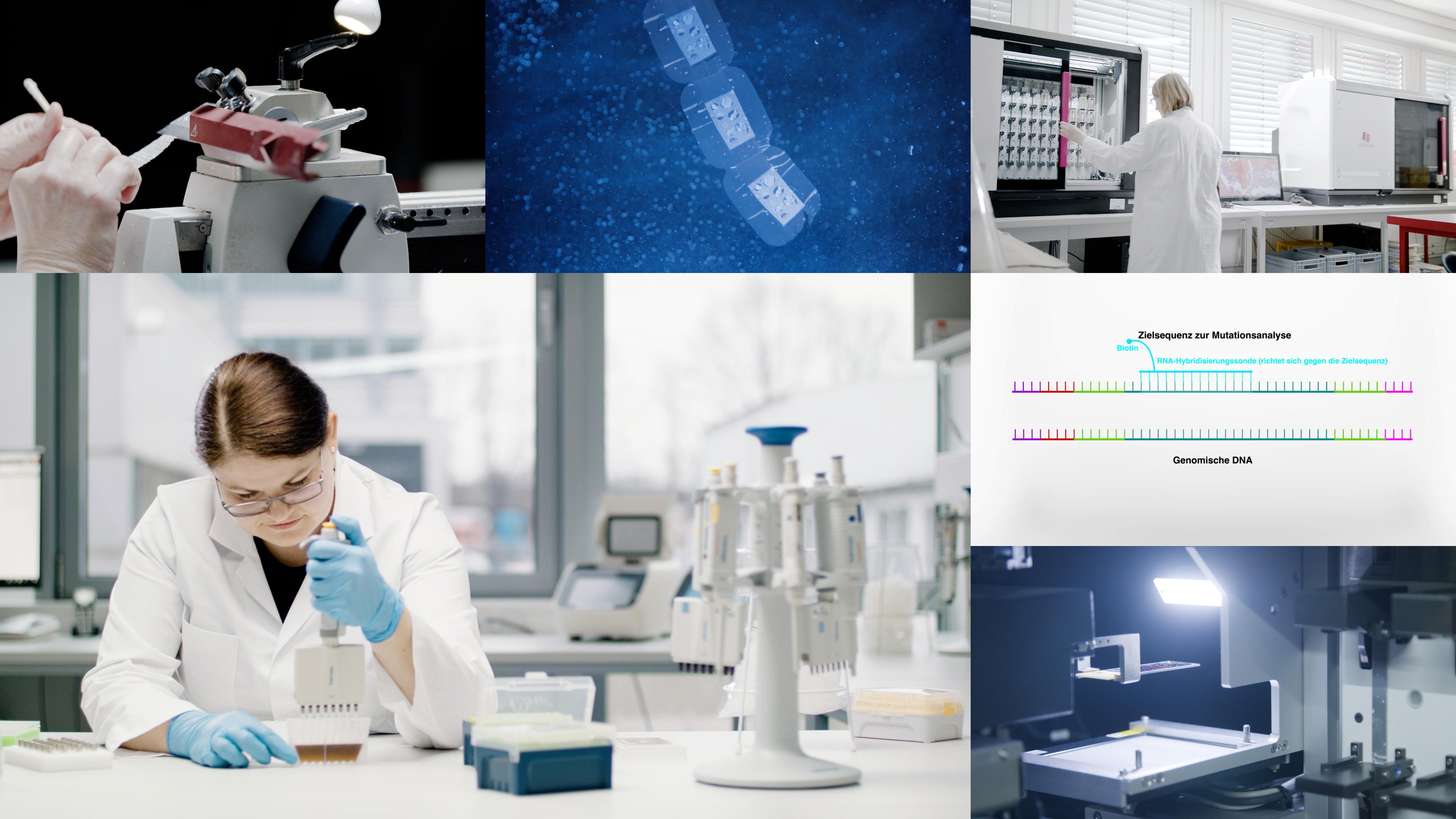 Eine Bildercollage aus dem Labor