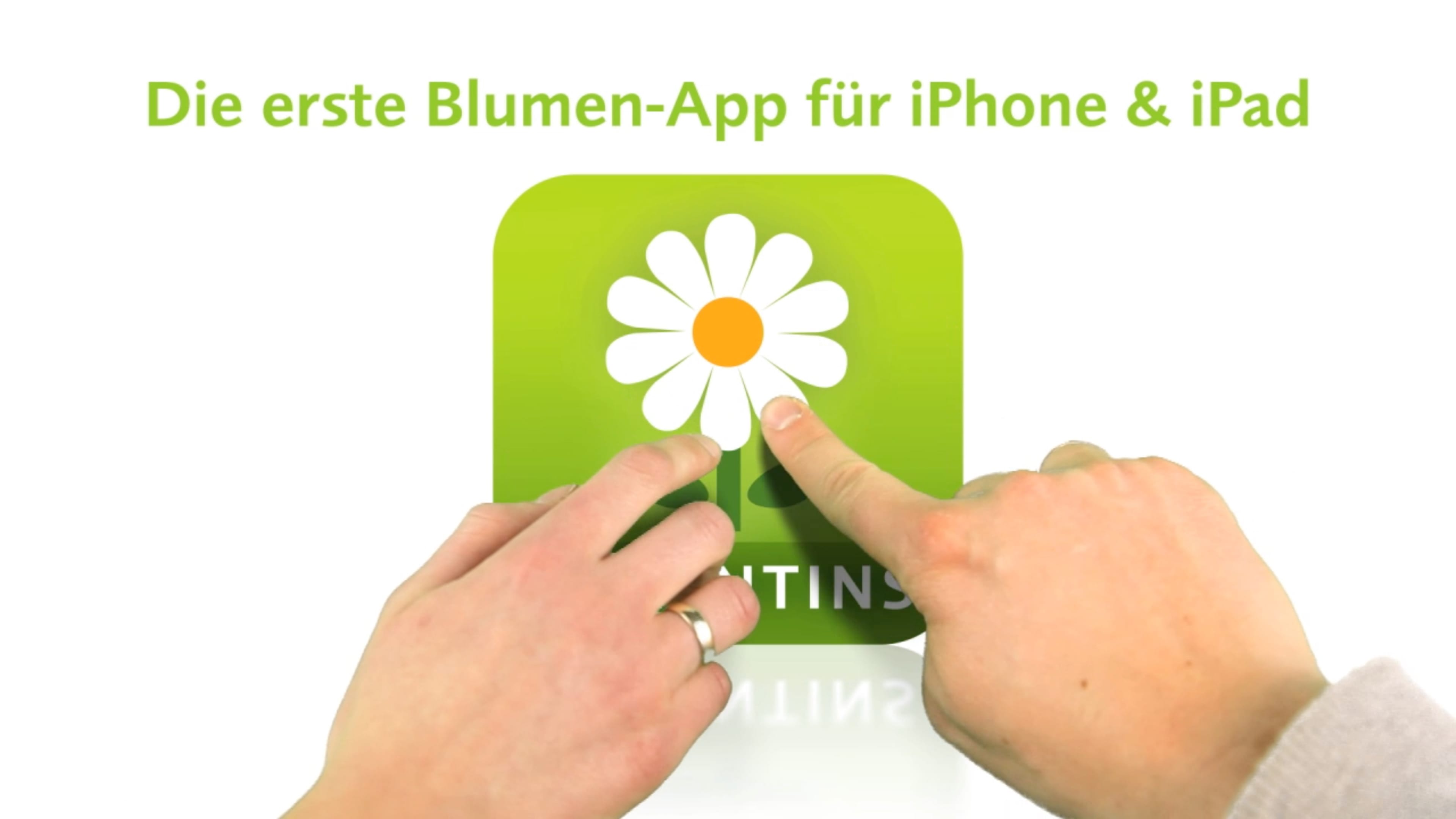 bb_valentins_vorschau.jpg Valentins Blumen und Geschenke App